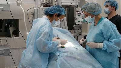 Отделение хирургии для новорожденных открылось в Щелковском перинатальном центре