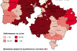 2 208 случаев заболевания коронавирусом выявлено в Подмосковье за сутки, в том числе 36 в Наро-Фоминске