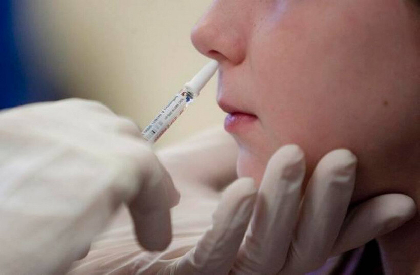 Назальная вакцина от коронавируса появилась в поликлиниках Богородского округа