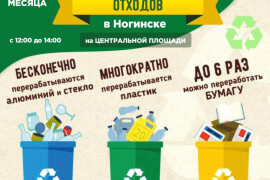 Акция раздельного сбора отходов пройдет в Ногинске