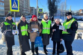 В Павлово-Посадском городском округе с 26 февраля по 3 марта проводится профилактическое мероприятие «Пешеходный переход»