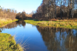 Очистку реки Клязьмы скоро планируют начать на территории Городского округа Пушкинский.