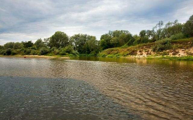 В районе Серпухова река Ока критически обмелела