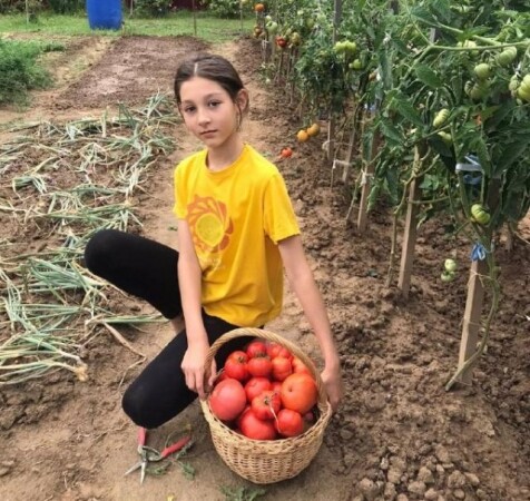 Юные агрономы Серпухова поборются за звание лучшего на региональном конкурсе