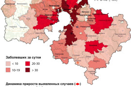 Десять случаев заболевания выявлено в Серпухове за сутки