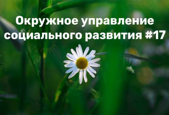 Управление социальной защиты населения по г.о. Серпухов переименовано в Окружное управление социального развития № 17