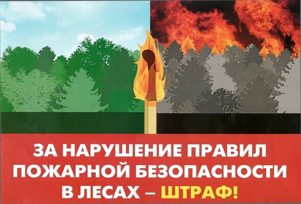 Серпуховичам рассказали правила пожарной безопасности в лесу