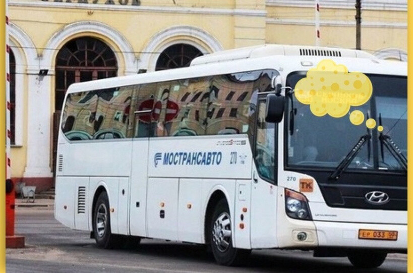 С 1 января Серпуховичи - обладатели социальных карт пользуются коммерческими автобусами бесплатно