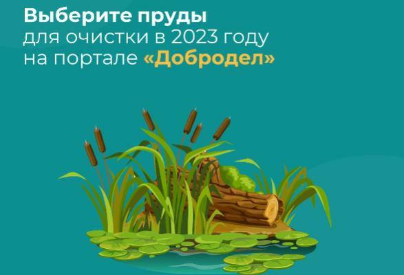 Жители Серпухова могут принять участие в голосовании по очистке от мусора подмосковных прудов