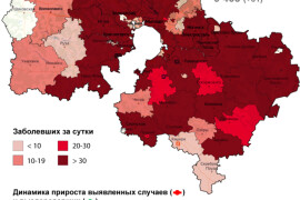 2 726 случаев заболевания коронавирусом выявлено в Подмосковье за сутки, в том числе 17 в Щёлкове